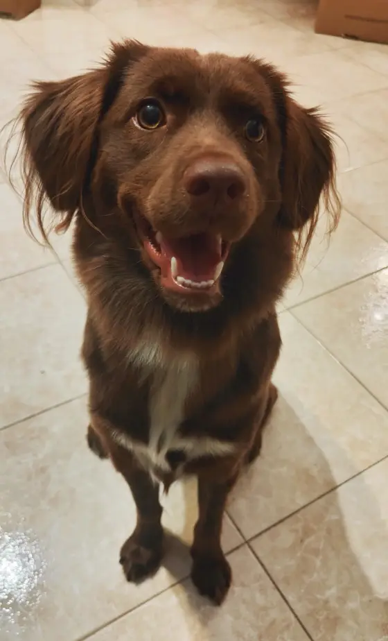 lei è Coco